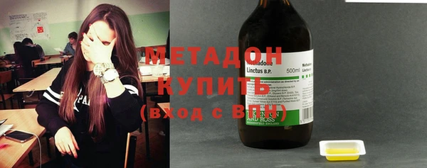 прущие грибы Медвежьегорск