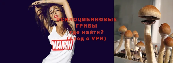 эйфоретик Мегион