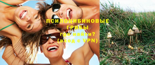 прущие грибы Медвежьегорск