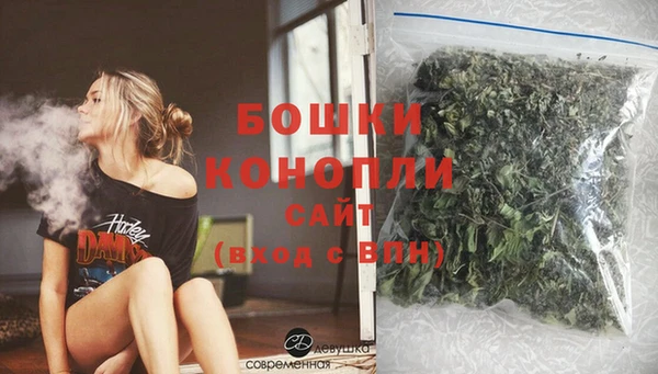прущие грибы Медвежьегорск