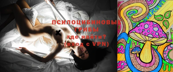 прущие грибы Медвежьегорск