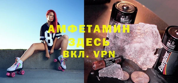 прущие грибы Медвежьегорск