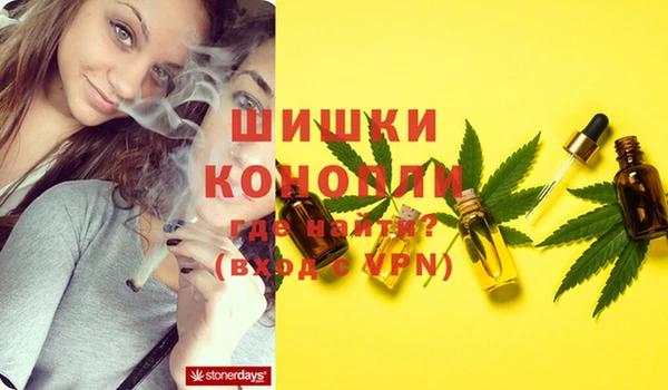 прущие грибы Медвежьегорск
