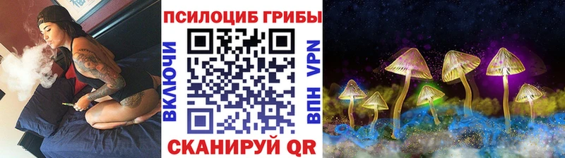Купить закладки  Владивосток  Галлюциногенные грибы Psilocybe 